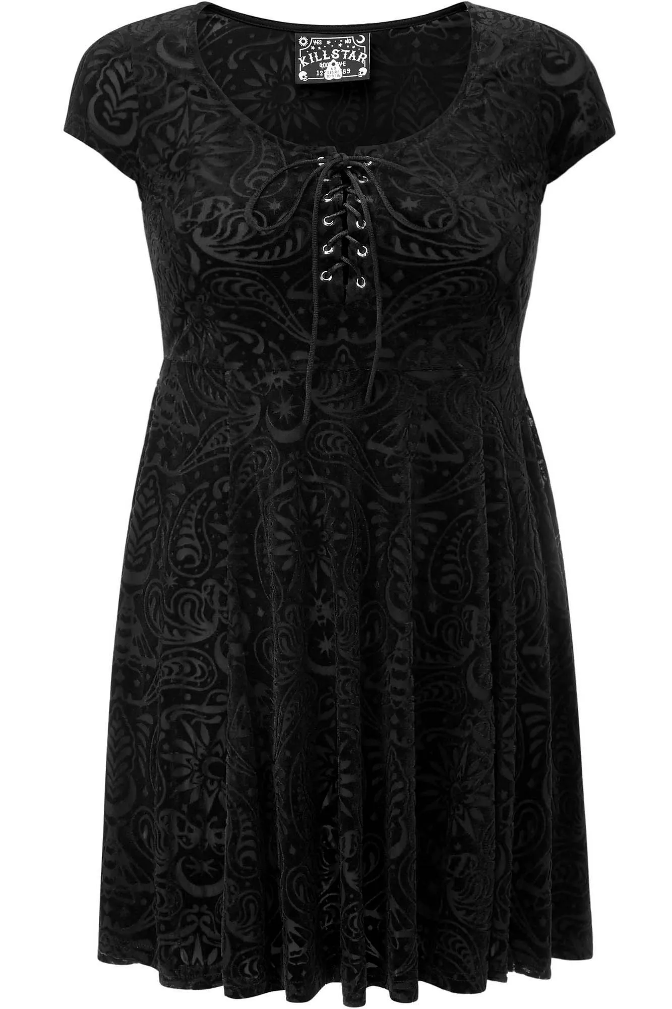 Angelyn Burnout Velvet Dress [PLUS]