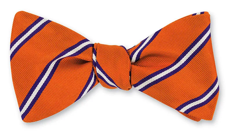 Orange/Purple Queens Stripes Bow Tie - B5564